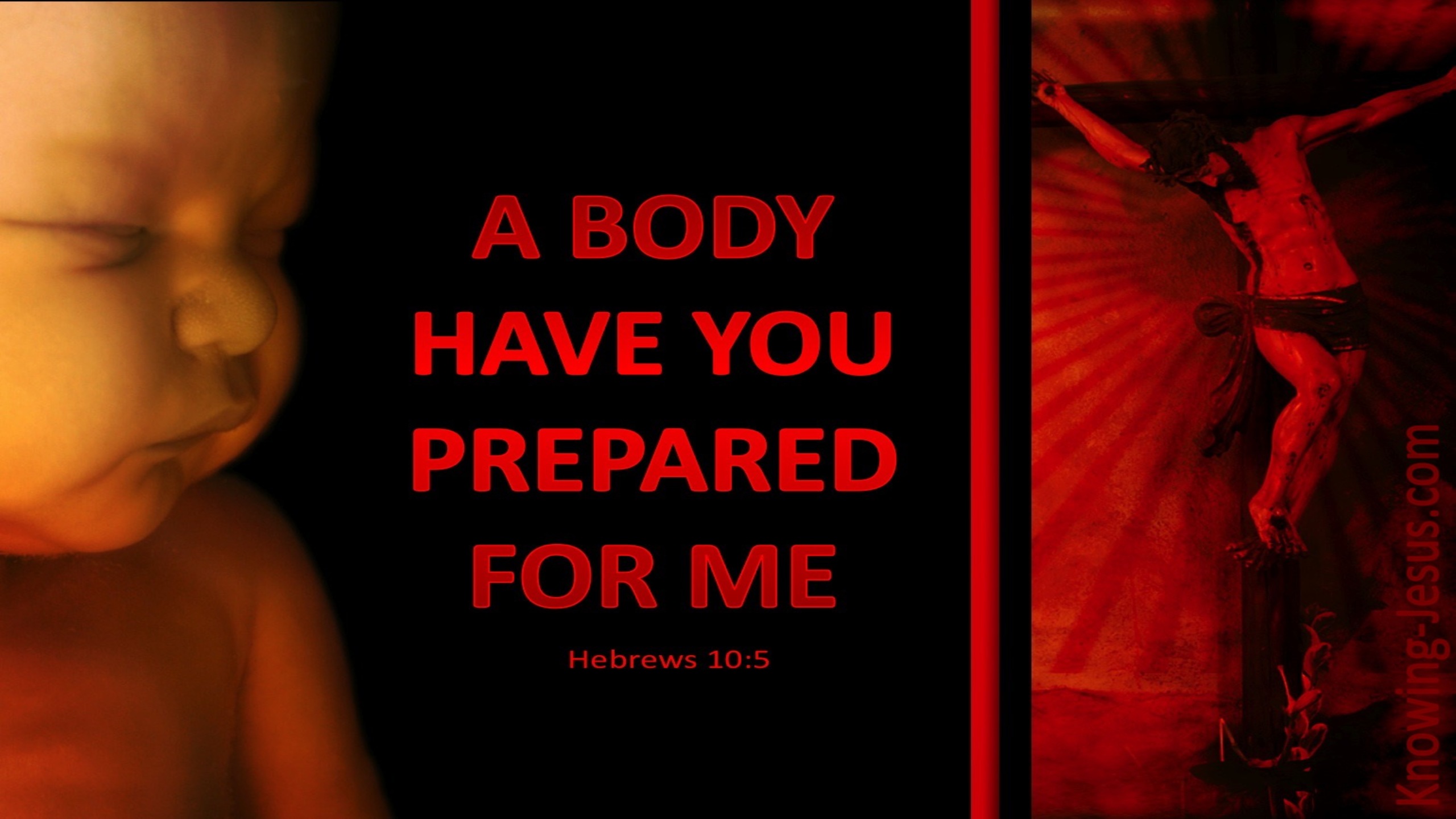 Hebrews 10:5 A Body You Have Prepared (black)